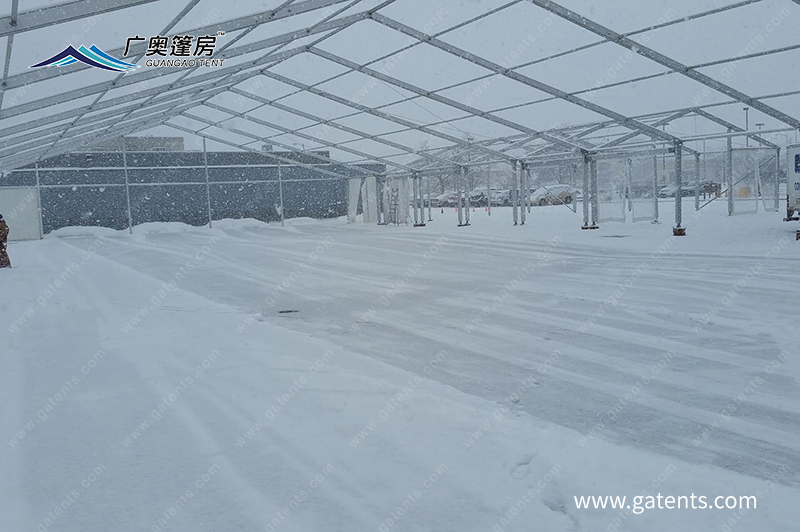 16775773912802295128.jpg 1112 (8).jpg