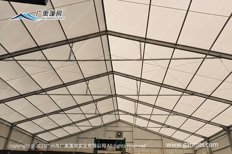 16892410511307138441.jpg IMG_20230628_095031.jpg